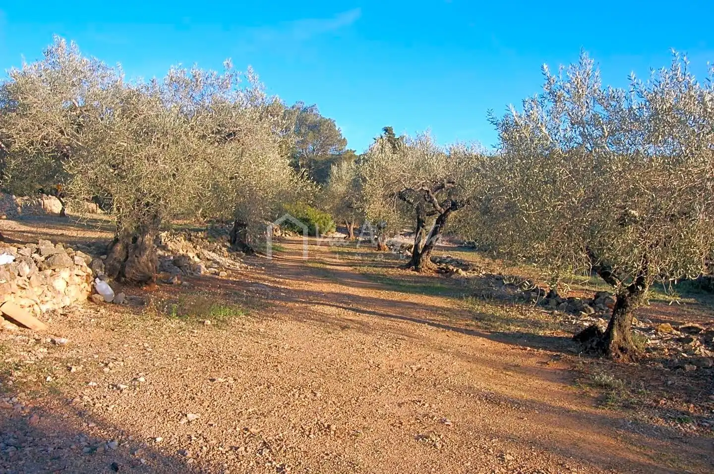 Terreno rustico in vendita a Burgà, imagen 18