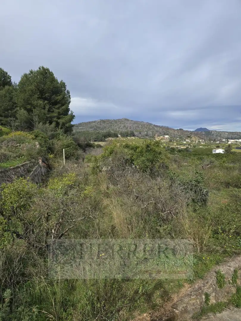 Terrenys i solars en venda a Partida Pd. Corona; Polígono 9, Parcela 142 11, imagen 23