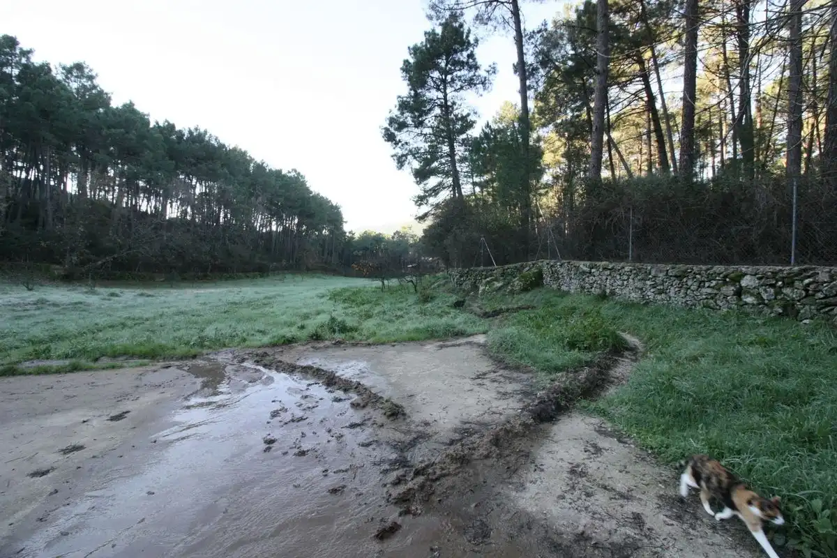 Finca rústica en venda en Santa Cruz del Valle amb Internet