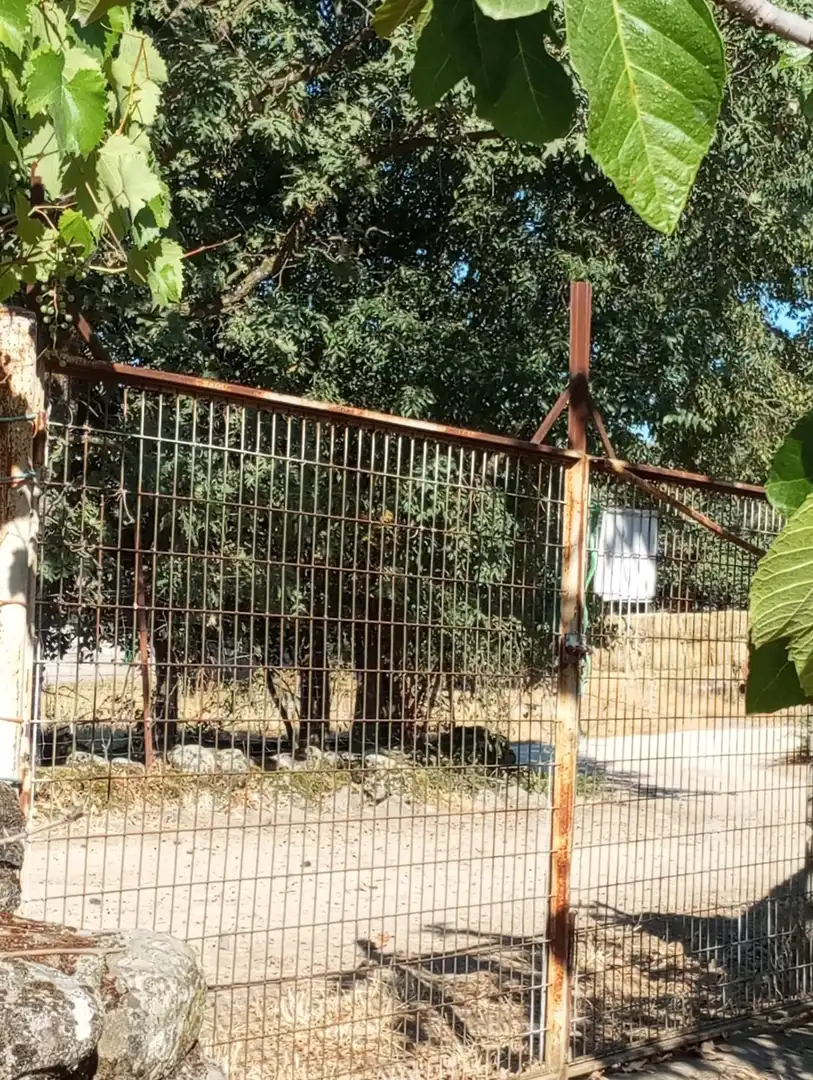 Terreni e lotti in vendita a Candeleda, imagen 16