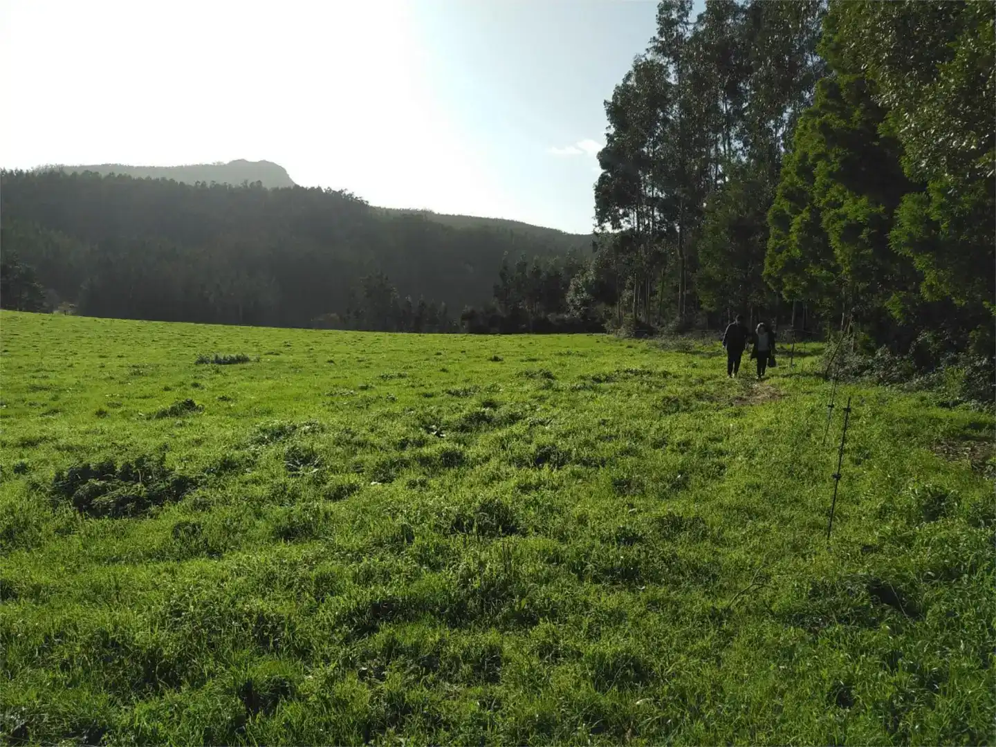 Finca rústica en venta en Foz