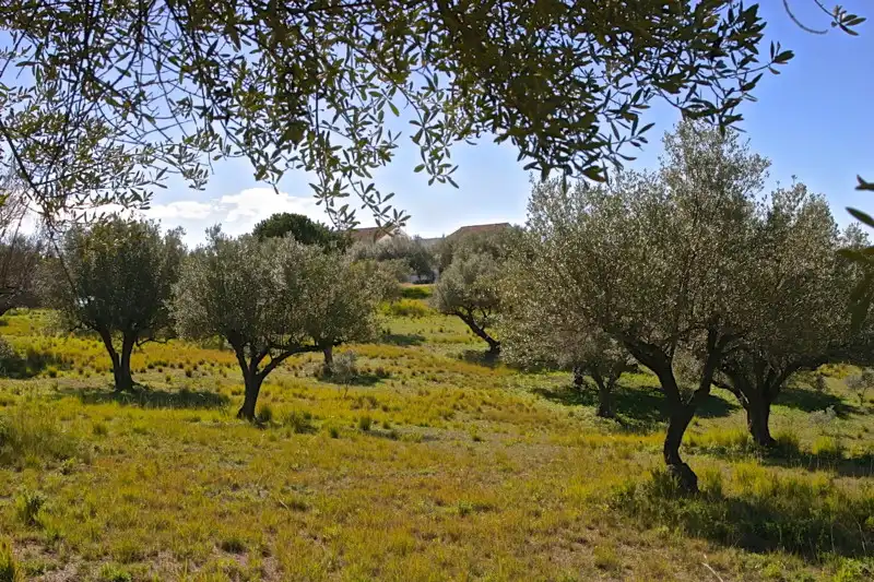 Villa mit Pool zum Verkauf in Elviria - Cabopino, imagen 10