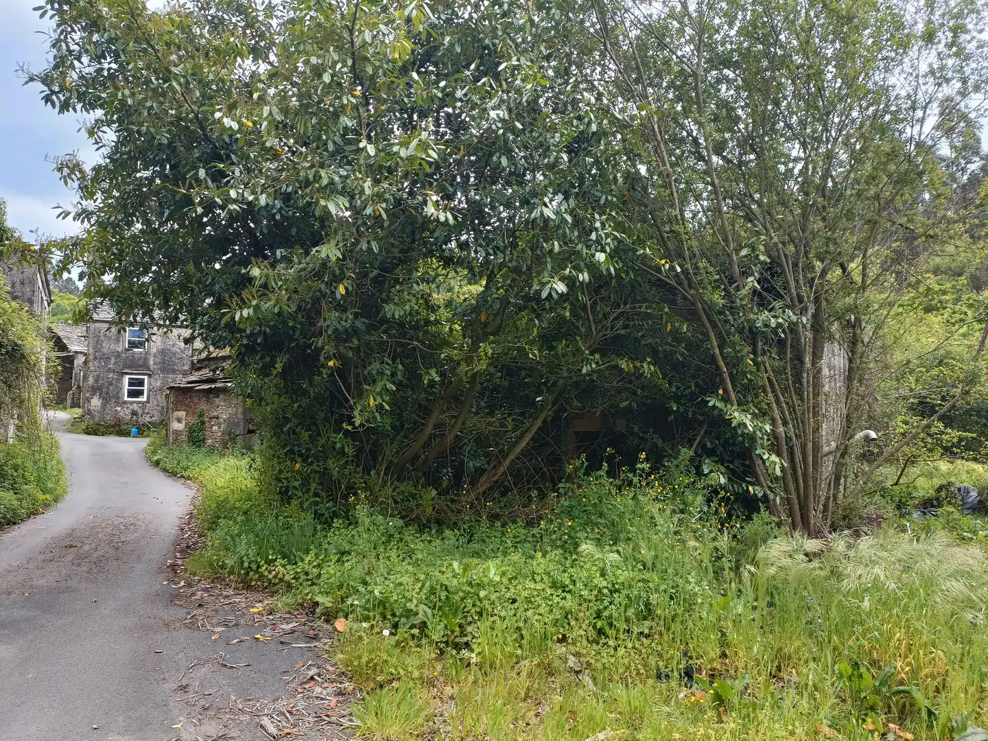 Casa o xalet en venda en Aranga amb Jardí privat i Traster