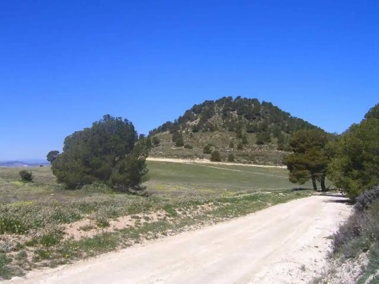 Terrains et parcelles à vendre à Pedanías Norte, imagen 28