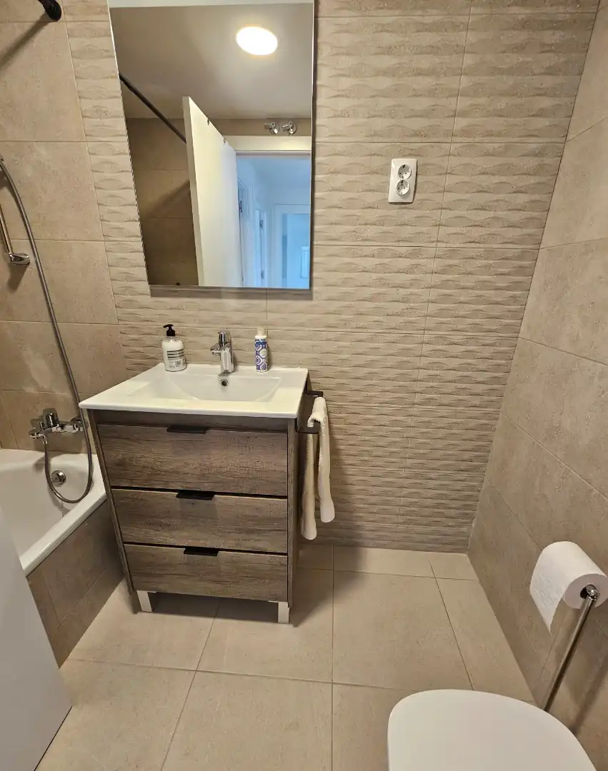 Penthouse mit Terrasse zur Miete in Avenida Vicente Ferrer 8, imagen 23