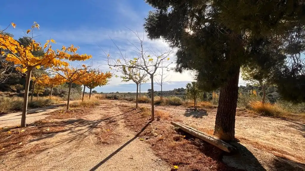 Terreny rústic en venda a Carrer del Dimecres, imagen 20