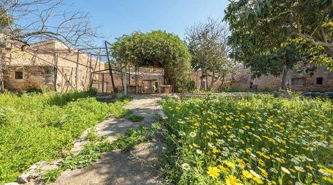 Atractiva finca rústica para reformar en Puntiró, imagen 3