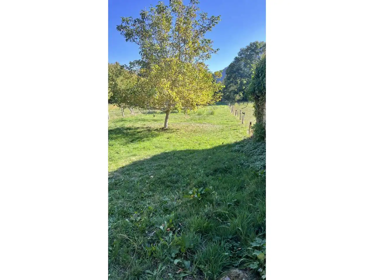 Casa o xalet en venda en Espinosa de los Monteros amb Jardí privat, Terrassa i Moblat