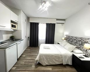 Study to rent in Arapiles