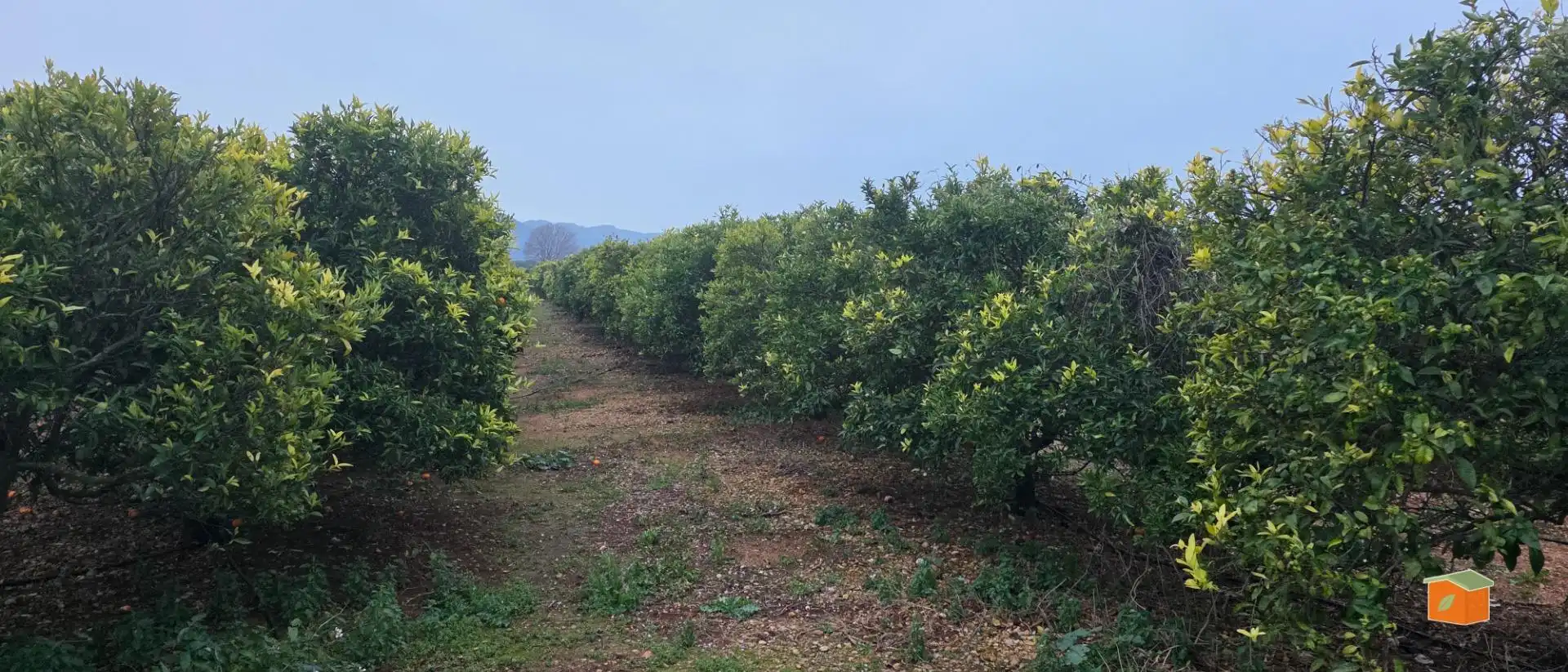 Rural land for sale in Masdenverge, imagen 3