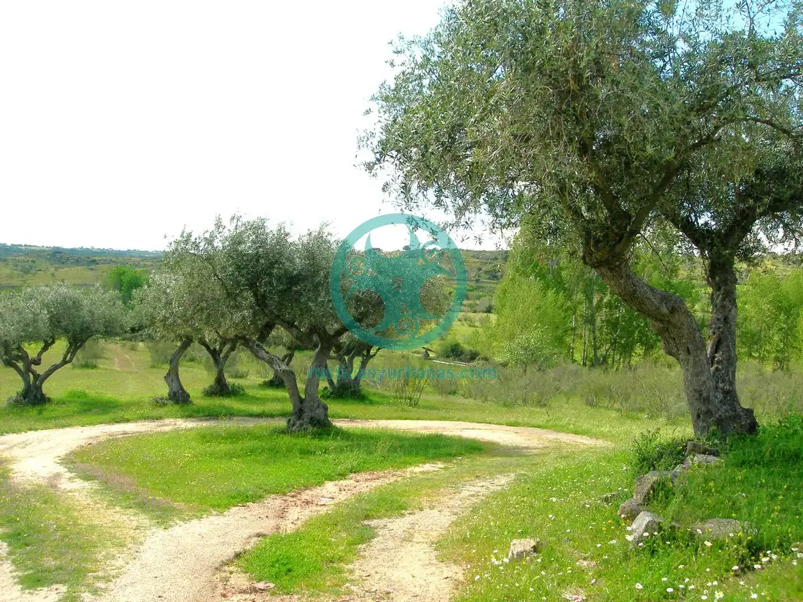Terreno en venta en Mata de Alcántara