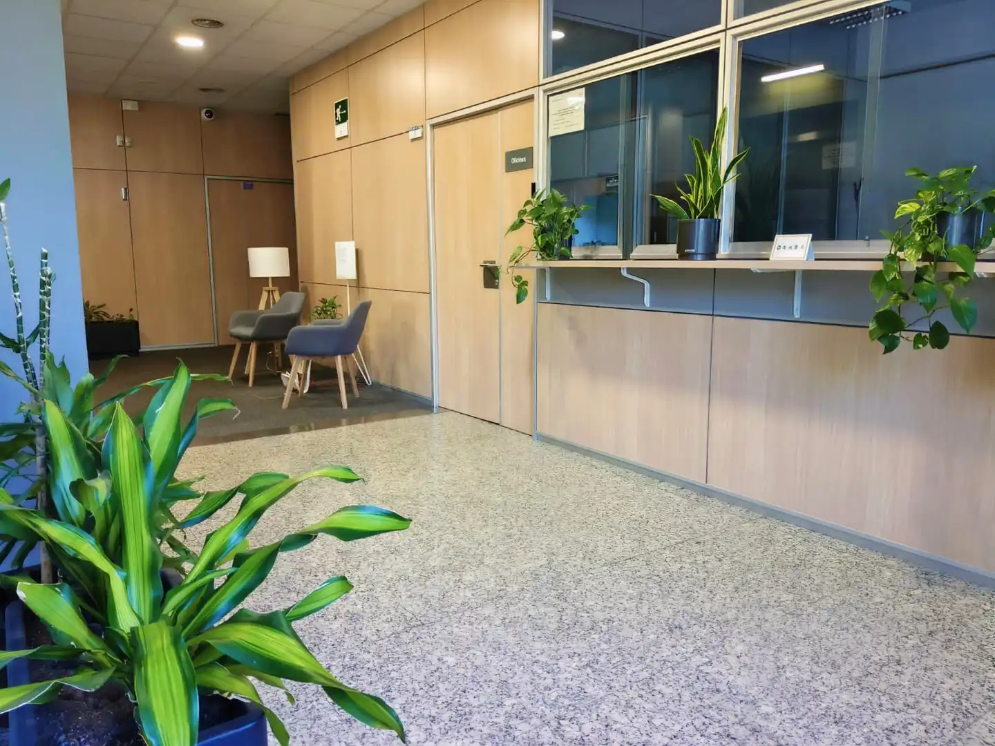 Oficina amb ascensor de lloguer a de Joan Fernàndez i Comas 3, imagen 14