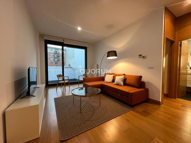 Piso en Alquiler en Alameda Cardenal Gardoqui en Ensanche - Moyua - Diputación