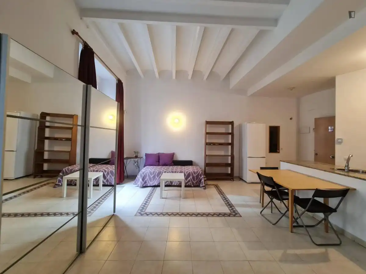 Study for rent in El Raval
