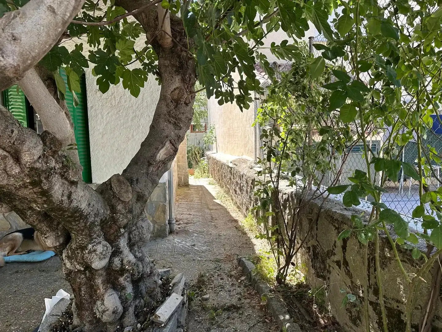 Exterior view of Residential for sale in El Escorial