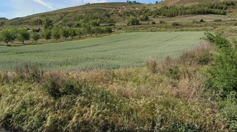 Foto 5 de Terreno industrial en venta en Terreno Rustica, 11, Agoncillo, La Rioja