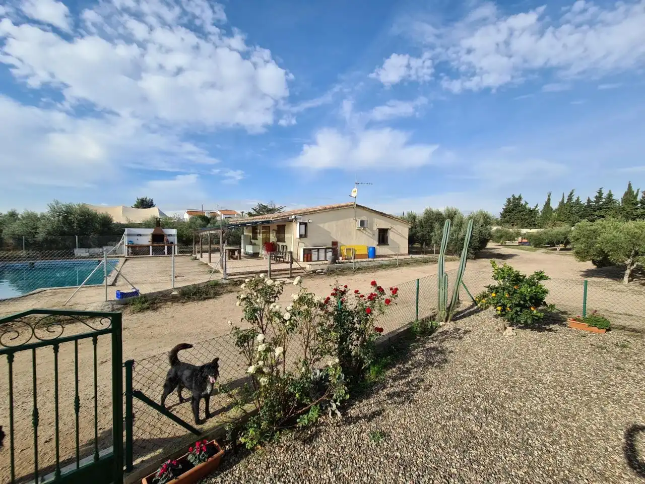 Terrain rustique à vendre à Riudoms, imagen 26
