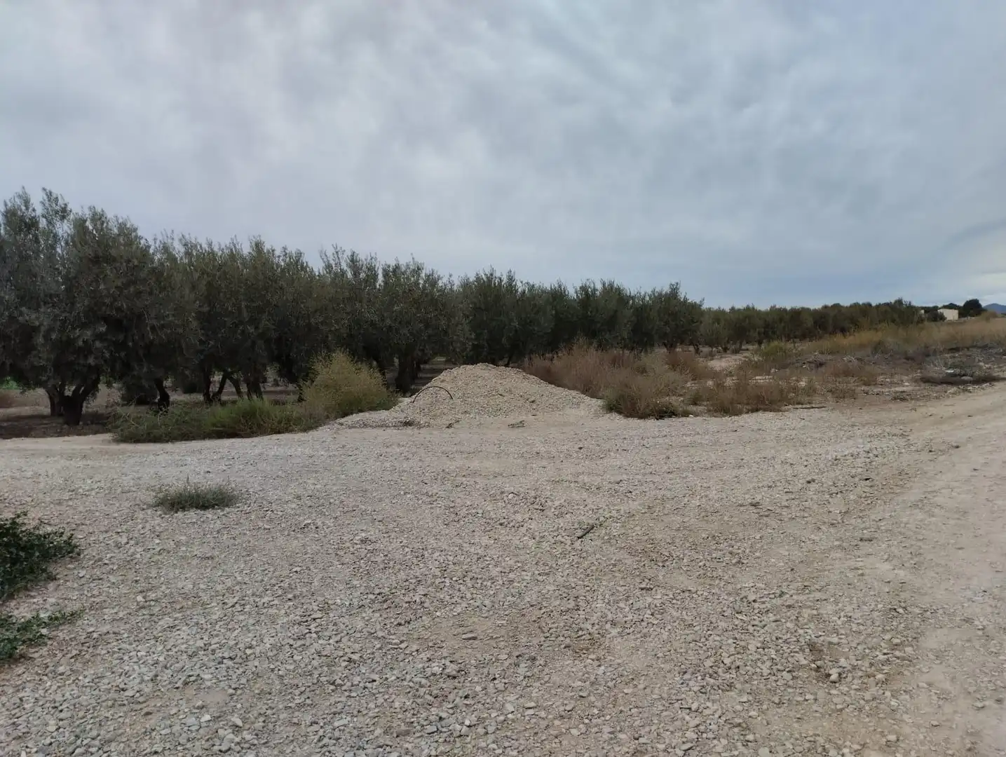 Terreny rústic en venda a Lorca Ciudad, imagen 7