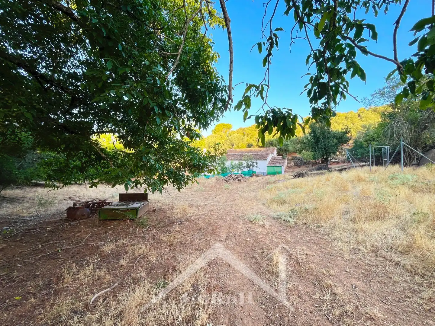 Land for sale in Constantina