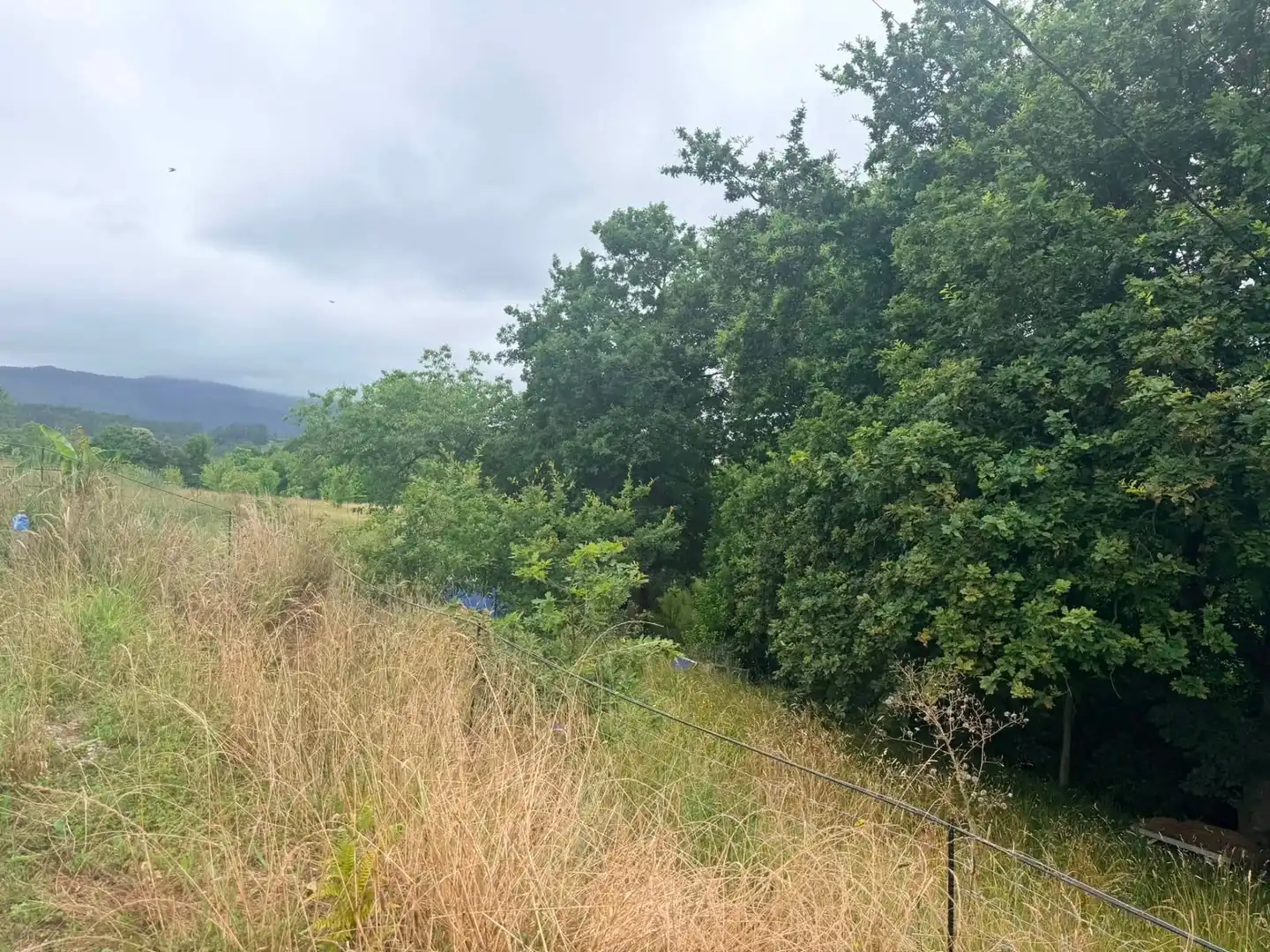 Casa o xalet en venda en Cartes amb Aire condicionat, Calefacció i Jardí privat