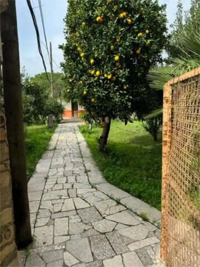 Jardí de Finca rústica en venda en Norte 