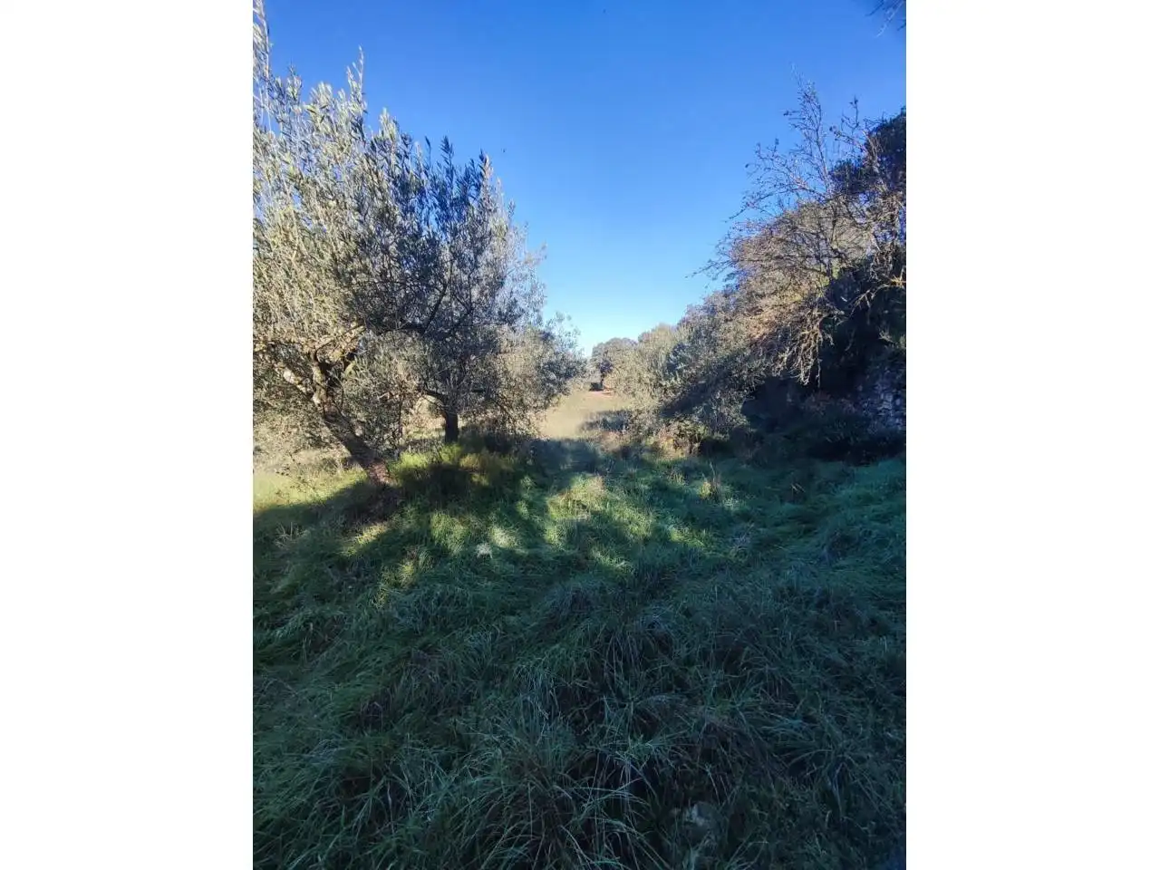 Residencial en venta en El Grado