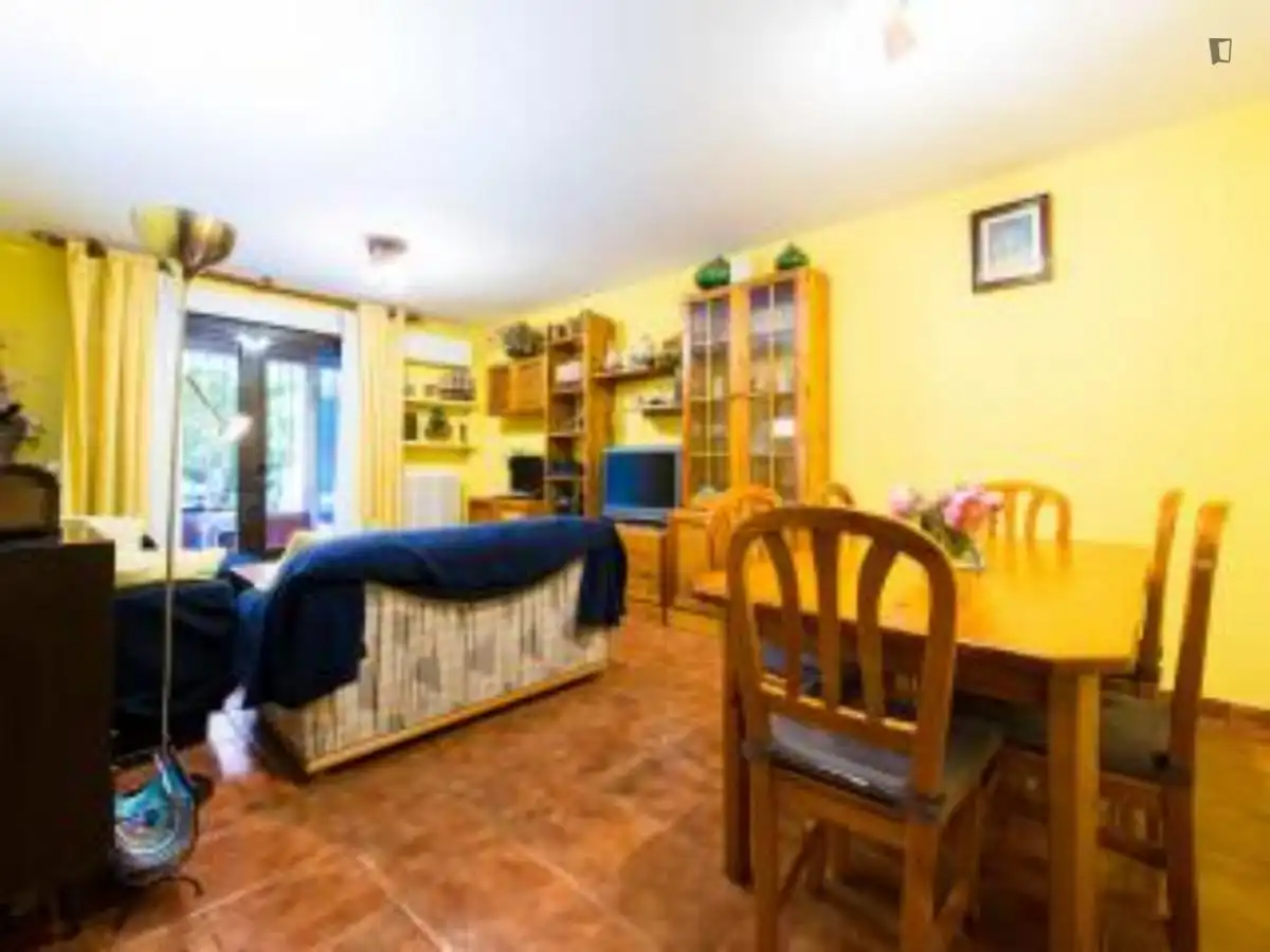 Living room of Apartments for rent in Madrid  with Air Conditioner, Heating and Furnished