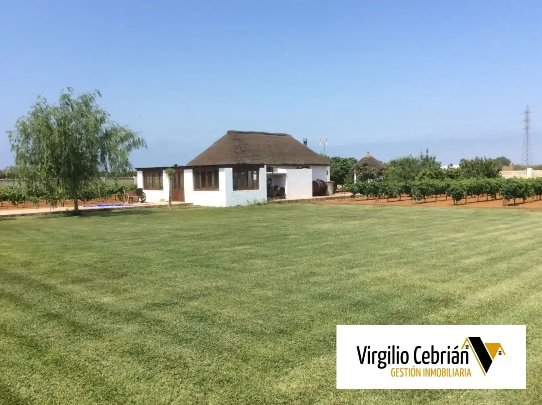 Country house with garden for sale in Centro