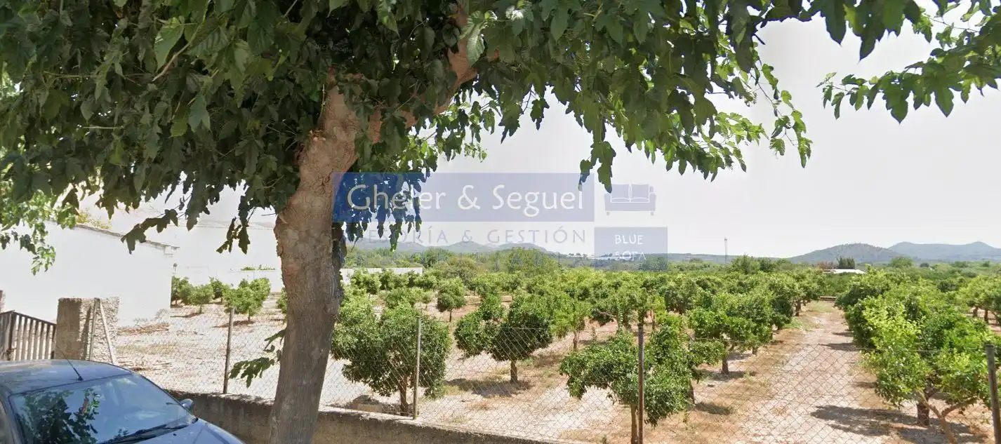 Terrenos y solares en venta en Algímia de Alfara, imagen 2