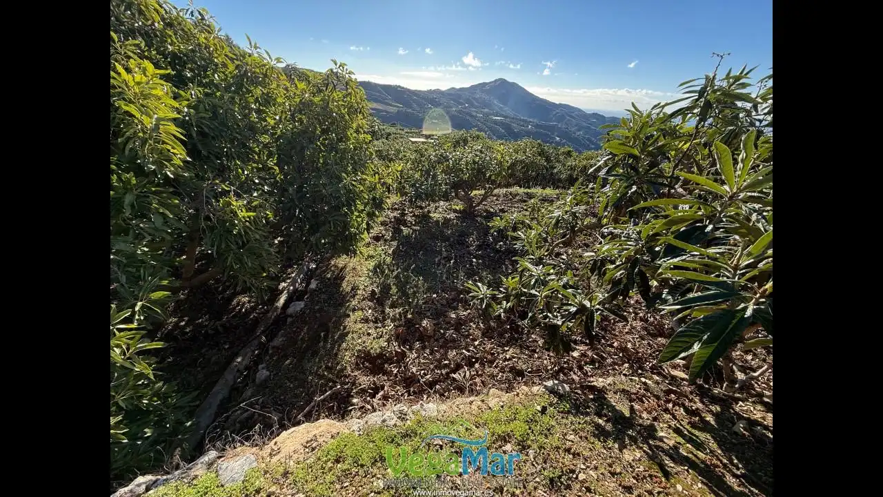 Finca rústica en venda en Otívar amb Jardí privat, Terrassa i Piscina