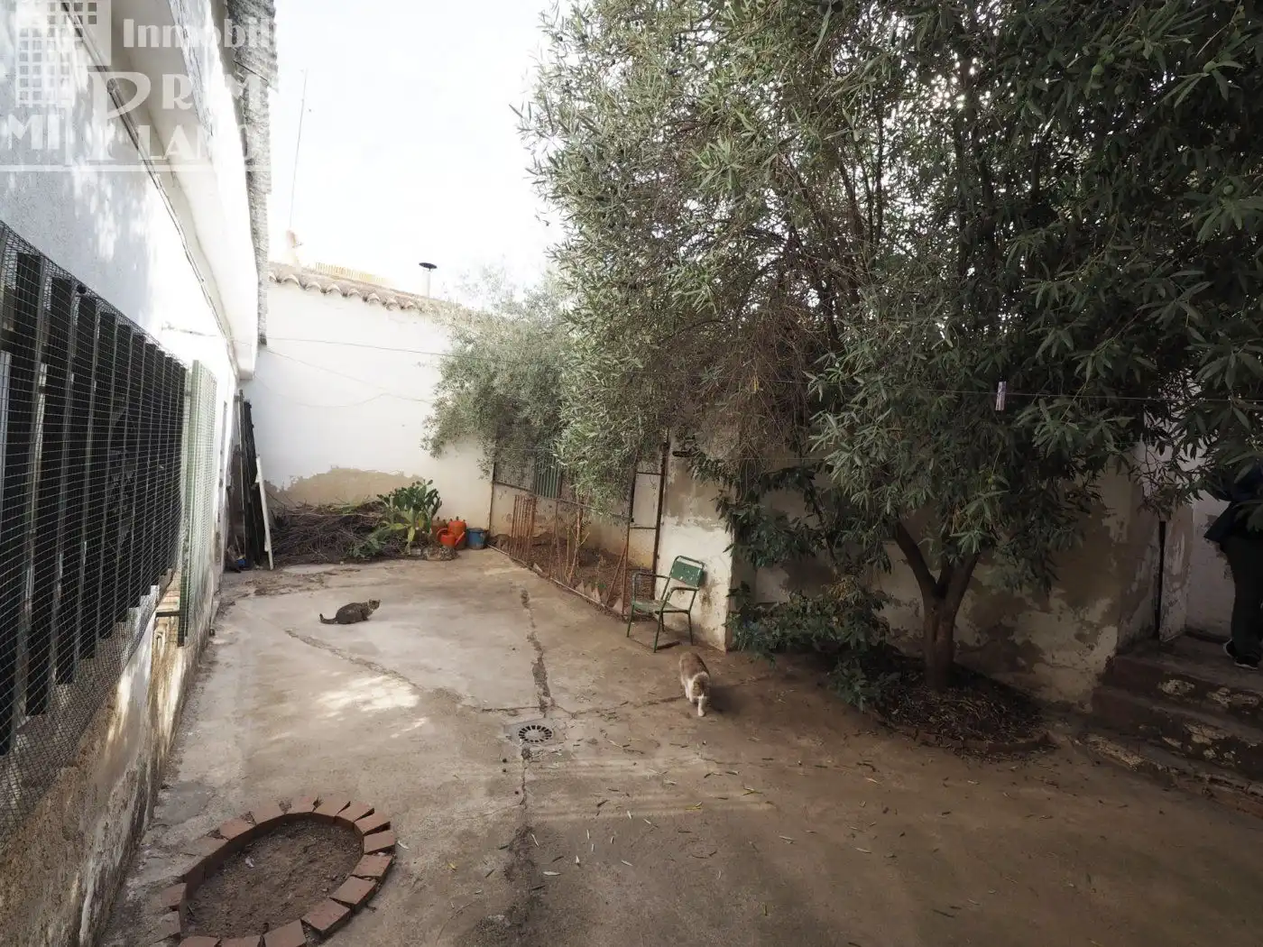 Jardín de Casa o chalet en venta en Tomelloso