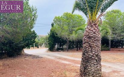 Country house for sale in Medina-Sidonia