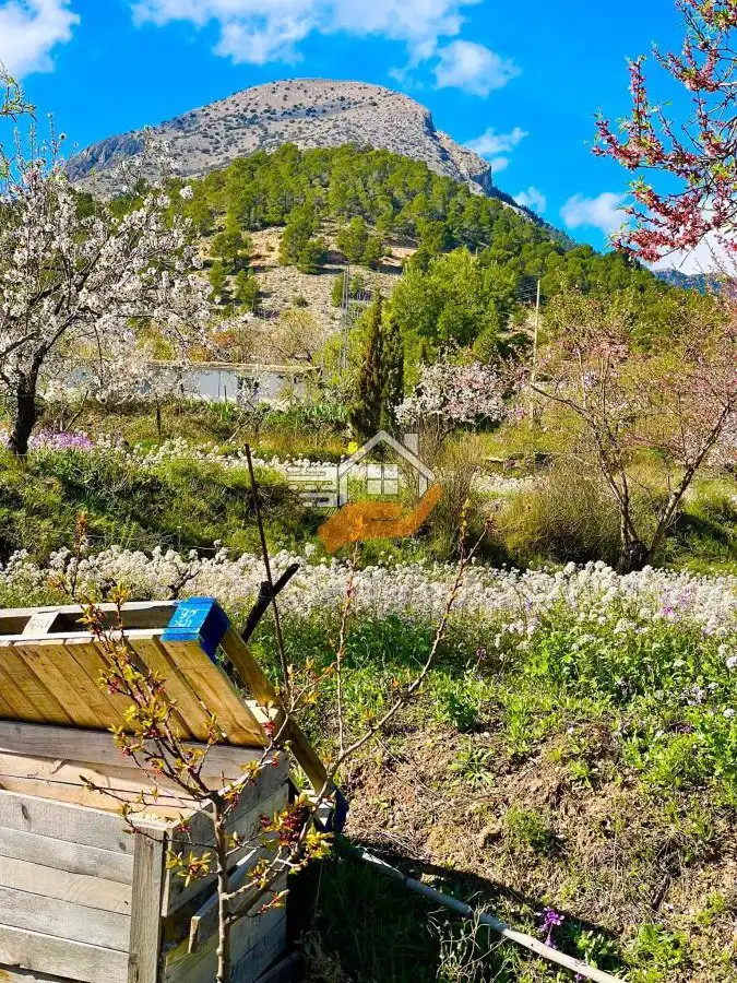Jardí de Residencial en venda en Vélez-Blanco