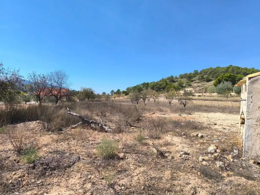 House for sale in El Pinós / Pinoso, imagen 29