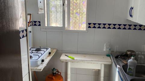 Foto 5 de Finca rústica en venta en El Almedral, Puerto Real