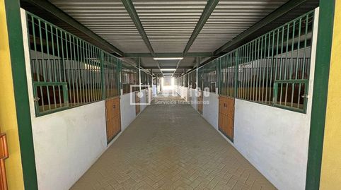 Foto 5 von Haus oder Chalet zum Verkauf in Sexmo, Cártama