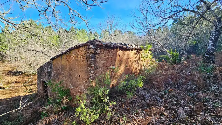 Terreni e lotti in vendita a Galaroza, imagen 4