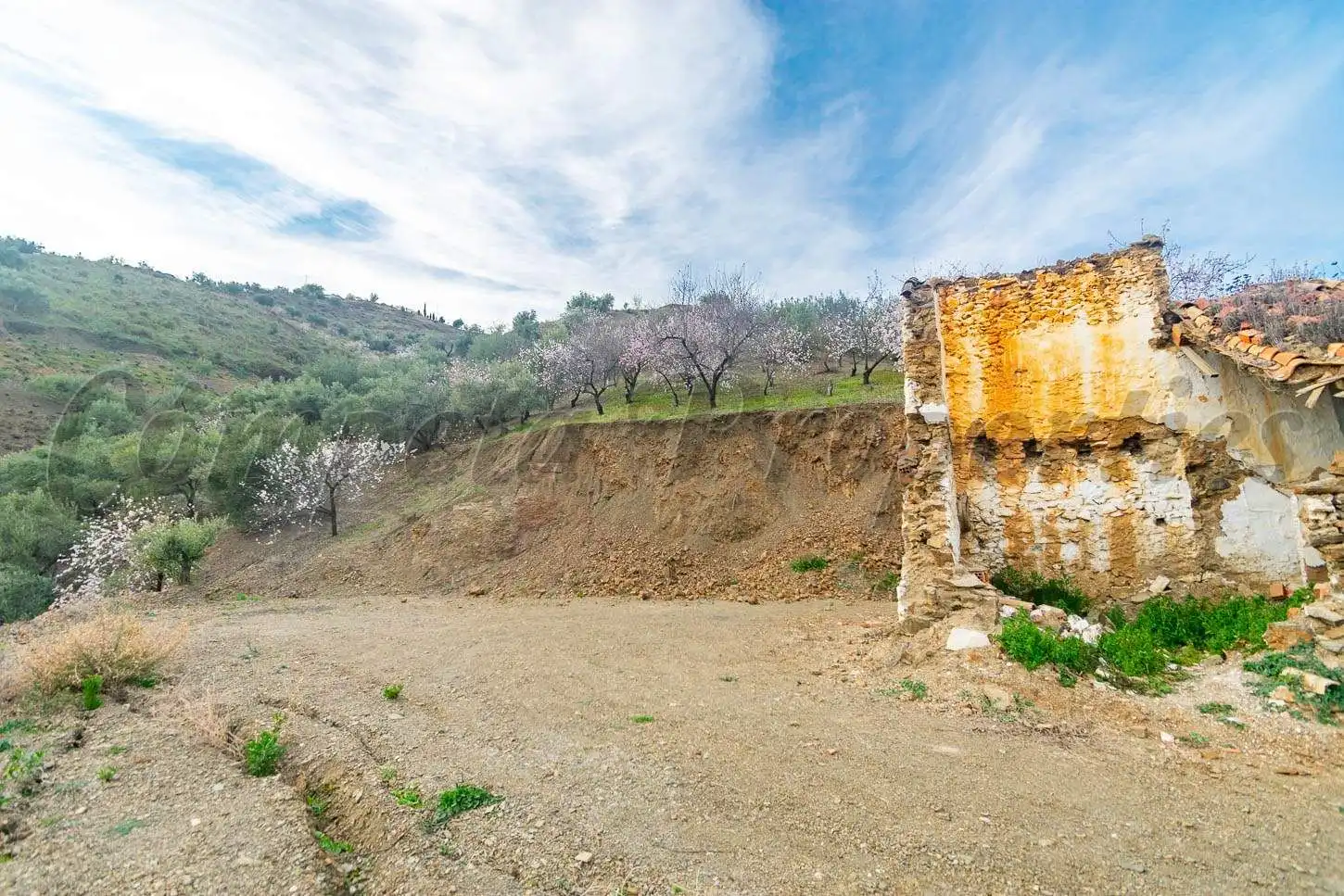Terreno rustico in vendita a Árchez, imagen 5