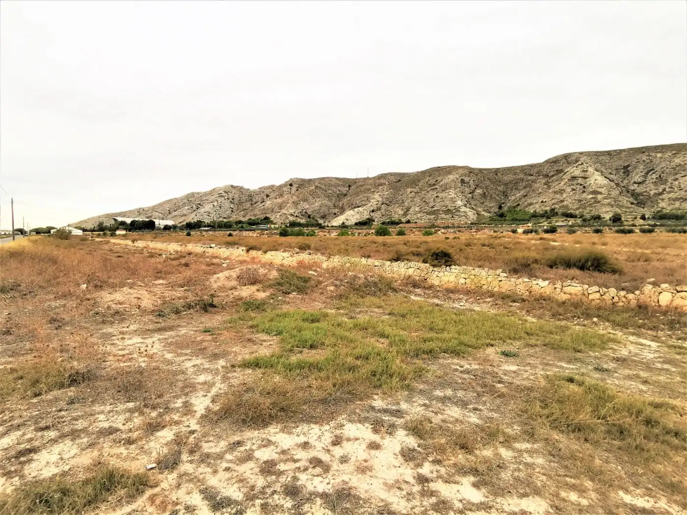 Fabrik Grundstücke zum Verkauf in Villena