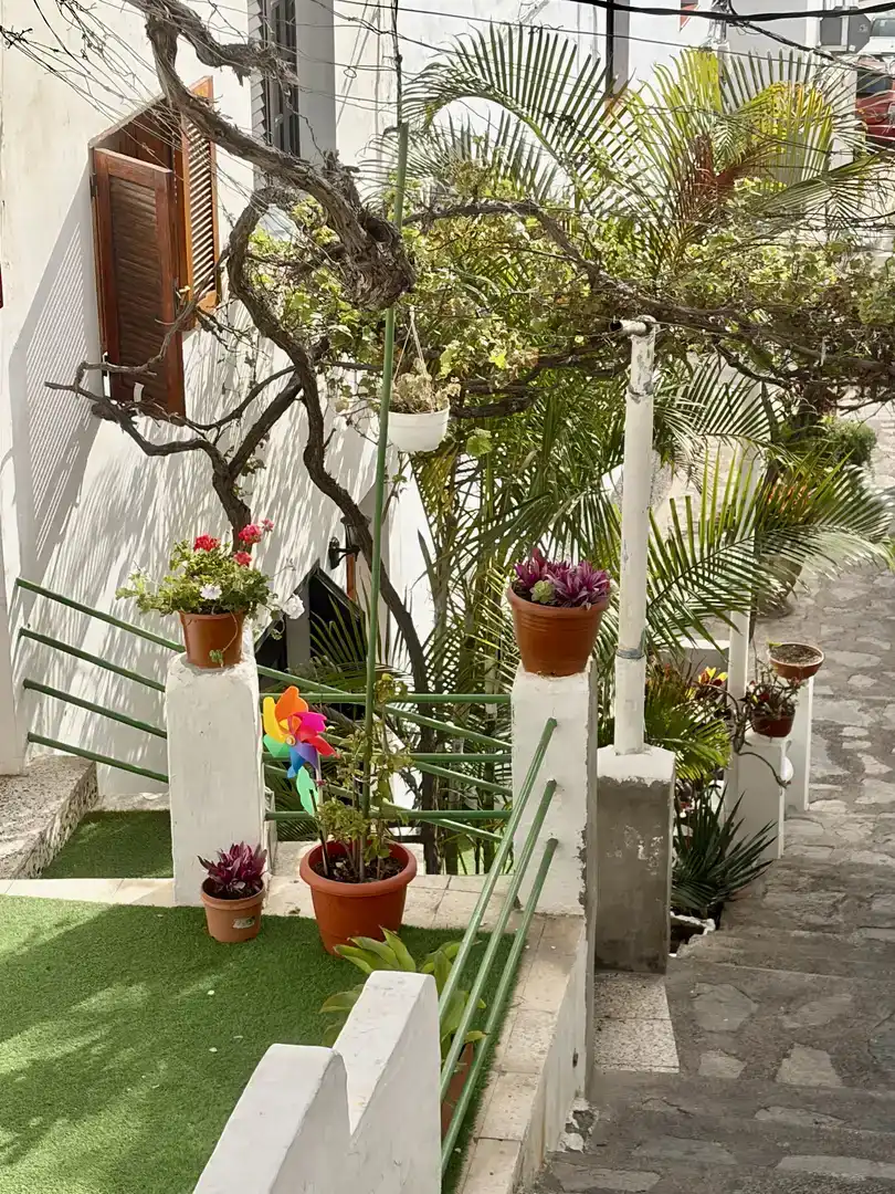 Jardí de Pis per a compartir en Agaete amb Jardí privat i Moblat