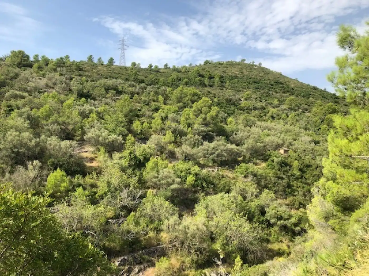 Rural land for sale in Alcanar, imagen 6