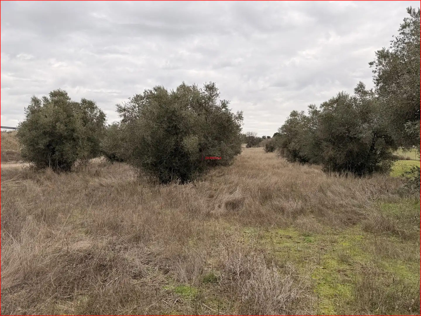 Rural land for sale in La Torre de Esteban Hambrán, imagen 5