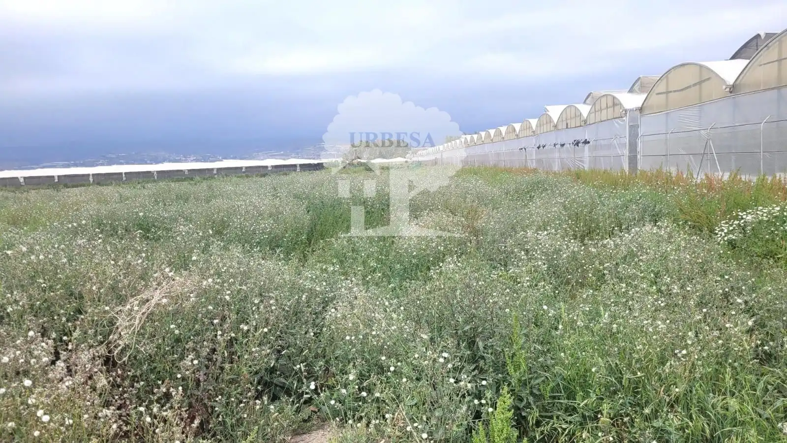 Terreno en venta en Motril