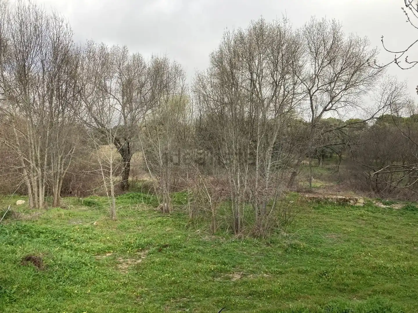 Residential land for sale in Urbanización Sotogrande 3, imagen 6
