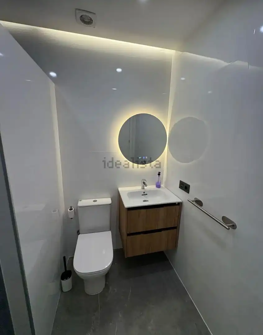 Bathroom of Apartments for rent in Marbella  with Terrace and Furnished