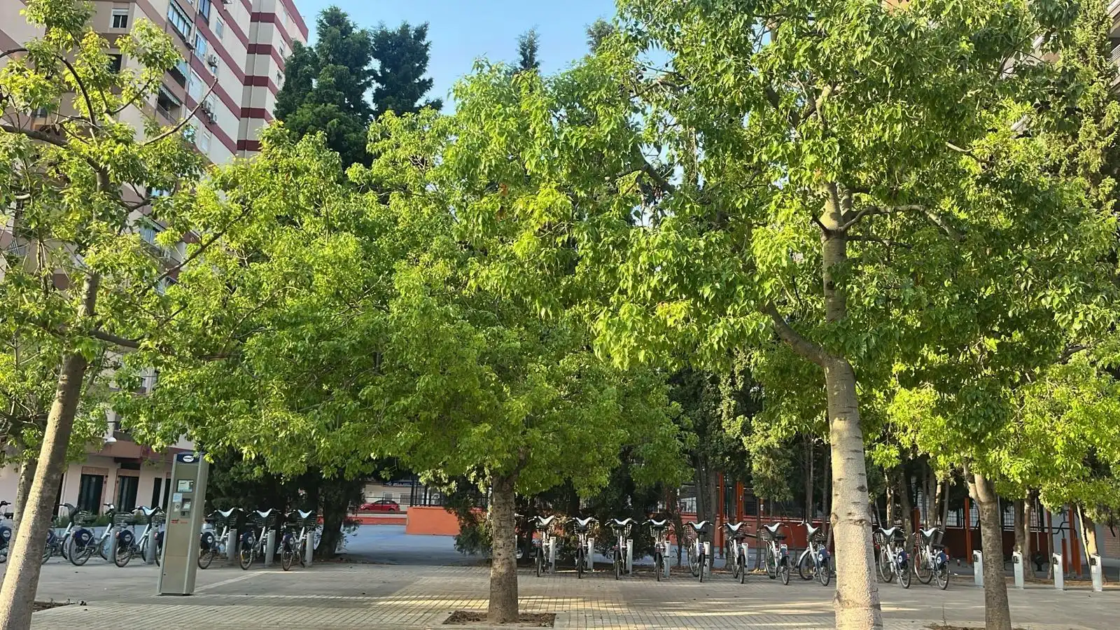 Flat with lift to rent in Calle POETA DURAN Y TORTAJADA, imagen 18