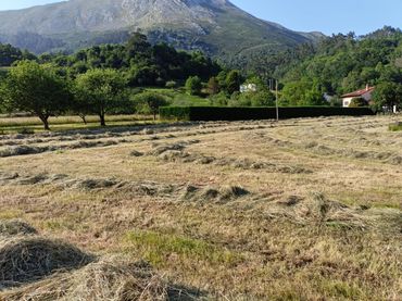 Grundstücke und Bauplätze zum Verkauf in Vibaña - Ardisana - Caldueño