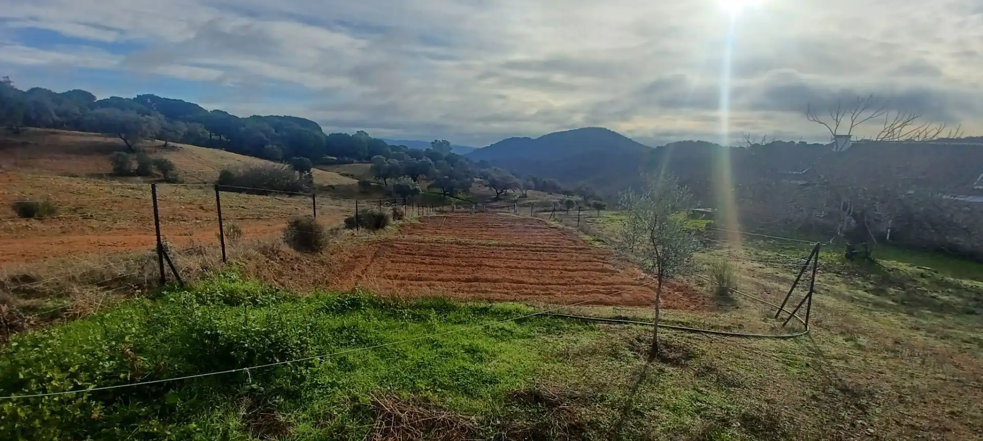 Terreny rústic en venda a Cazalla de la Sierra, imagen 53