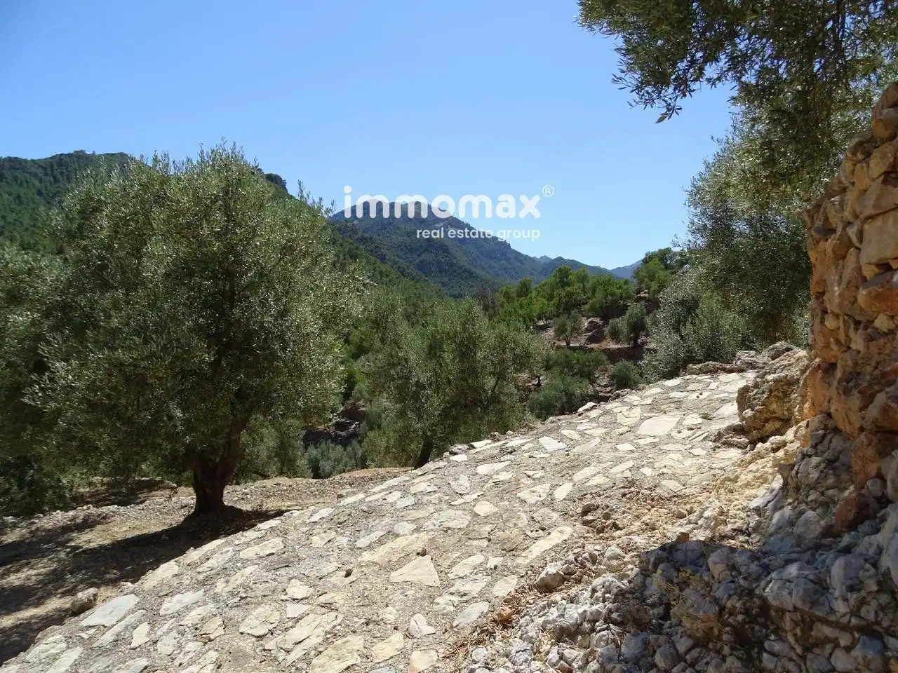 Villa à vendre à Paüls, imagen 44