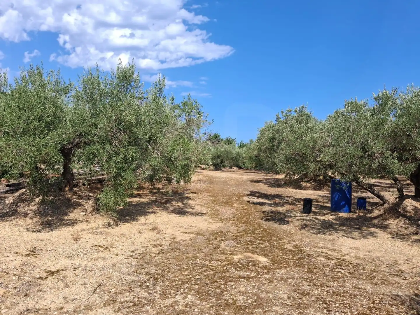 Terrain rustique à vendre à El Perelló, imagen 9